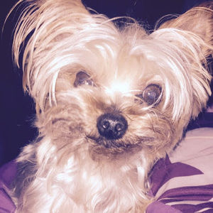 Meet your Posher, Brittany